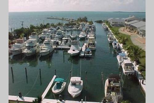 Licensed Mgr 2 2 Villa Oceanfront Beach Resort Saltwater Lagoon & Marina in Key Largo, United States