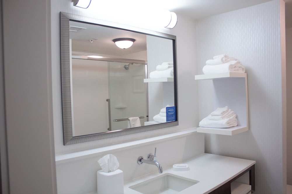Hampton Inn Big Rapids - photo 22
