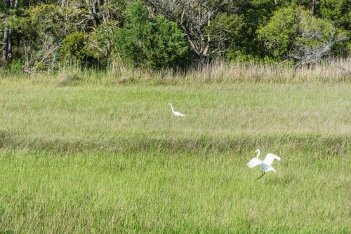Lay Z Days by Oak Island Accommodations - photo 50