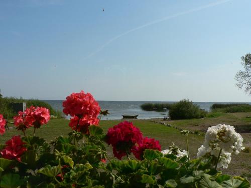 Kalameeste Maja in Mustvee, Estonia