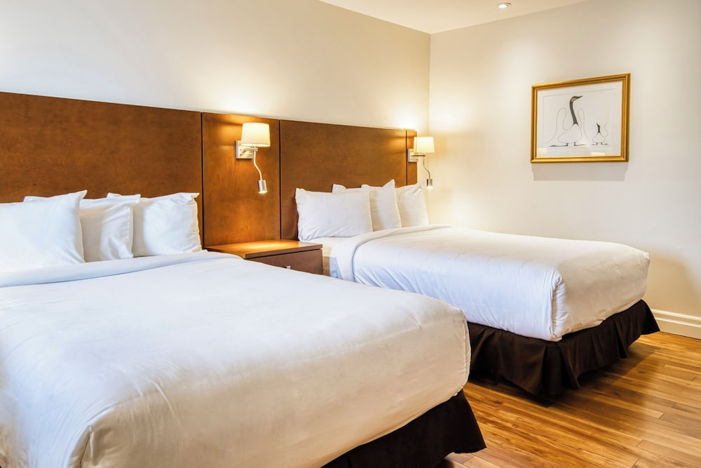Motel Mistral — Rouyn Noranda