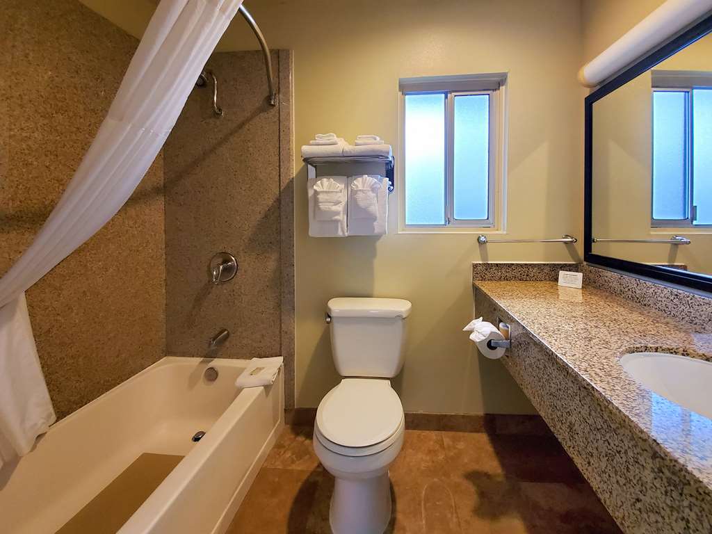 Quality Inn & Suites Anaheim At The Park - photo 13
