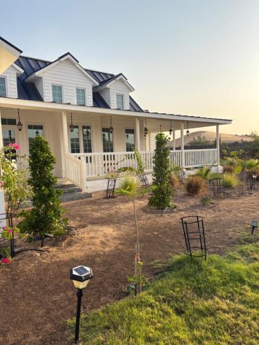 Prairie in Unknown City, United Arab Emirates