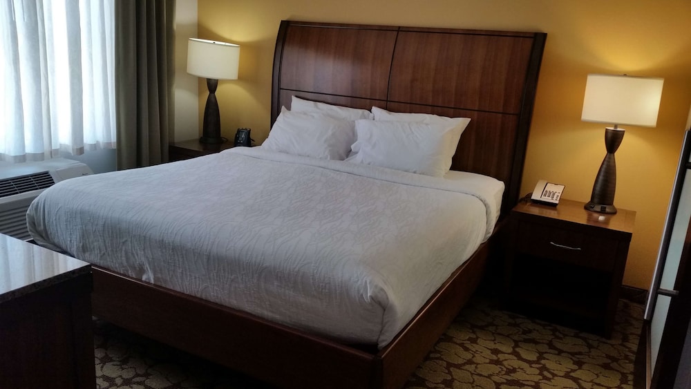 Hilton Garden Inn Olathe - photo 6