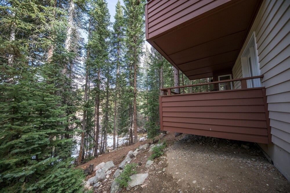 Iron Horse by Stay Winter Park - photo 59