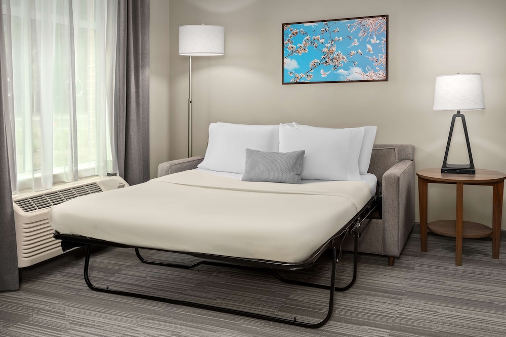 Homewood Suites by Hilton Greenville - photo 21