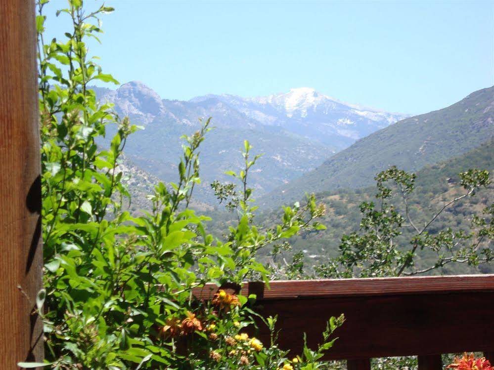 Bellevue Guesthouse - photo 8