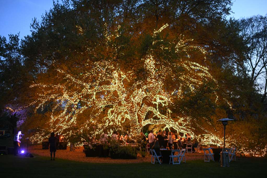 The Houstonian Hotel Club & Spa - photo 120