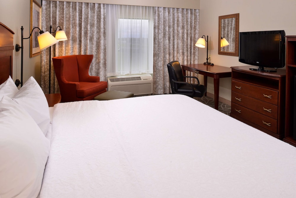 Hampton Inn by Hilton Litchfield - photo 15