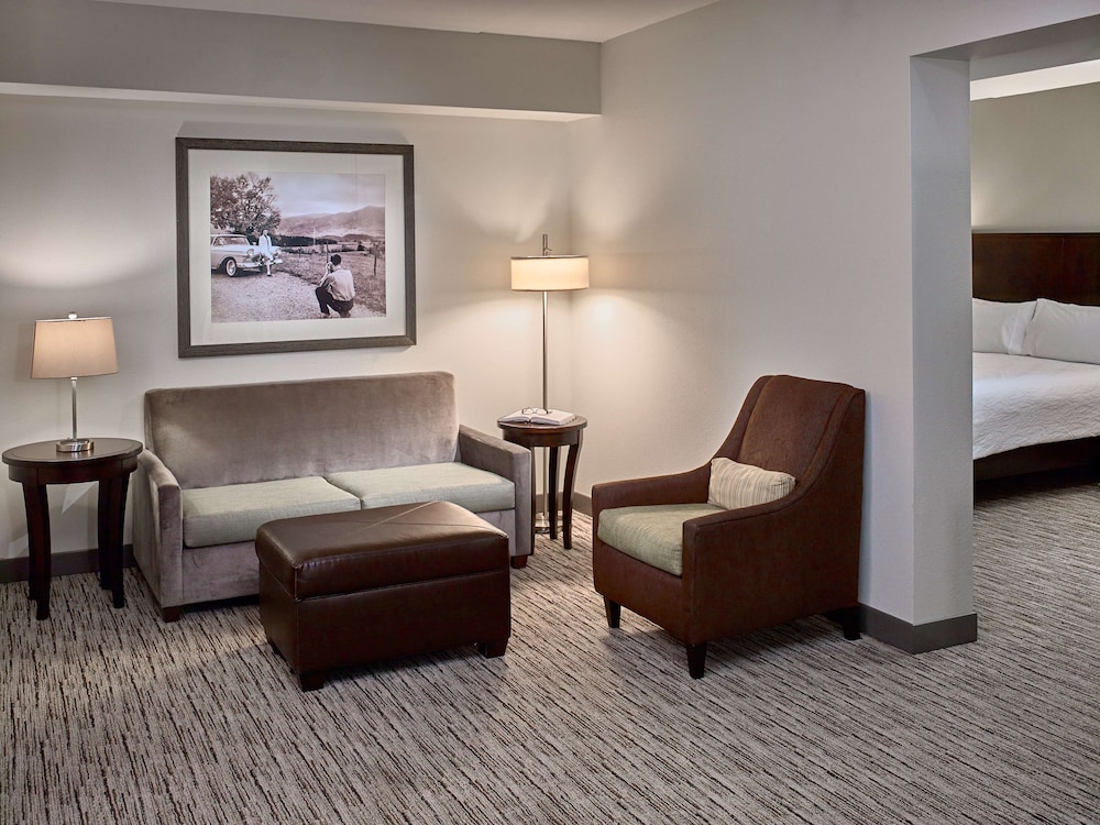 Hilton Garden Inn Gatlinburg - photo 12