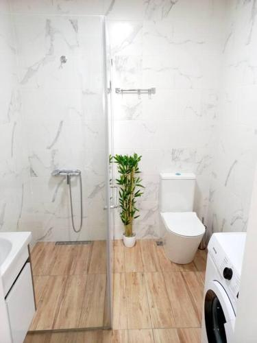 Luxury 2 BR Apartment in Isani