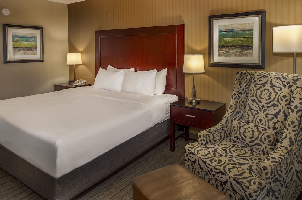 Crowne Plaza St. Louis Airport by IHG - photo 100