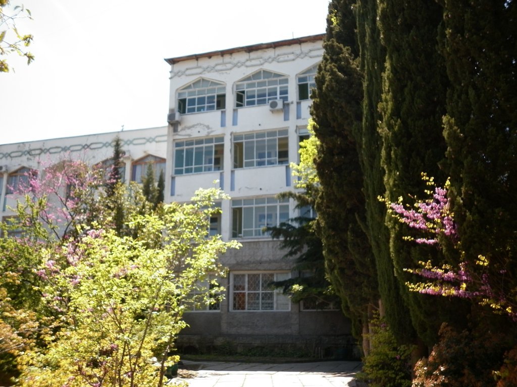 Sofia Hotel - carbon neutral hotel in Yalta