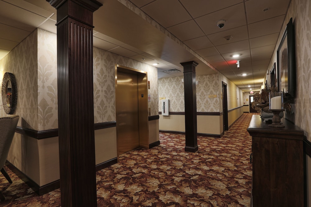 Arrow Hotel - photo 15