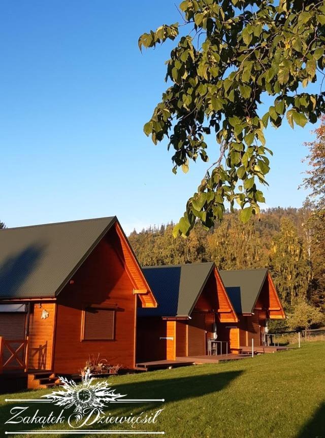 Zakątek Dziewięćsił — hotel in Przyborow