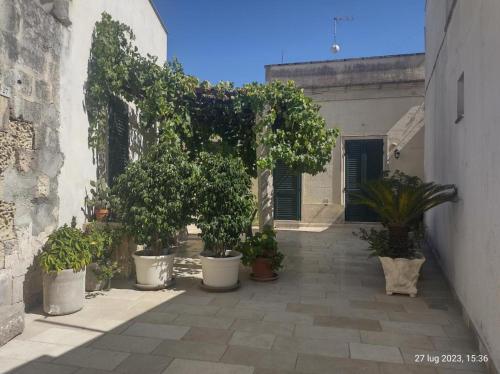 Corte Tredomus - carbon neutral hotel in Cannole