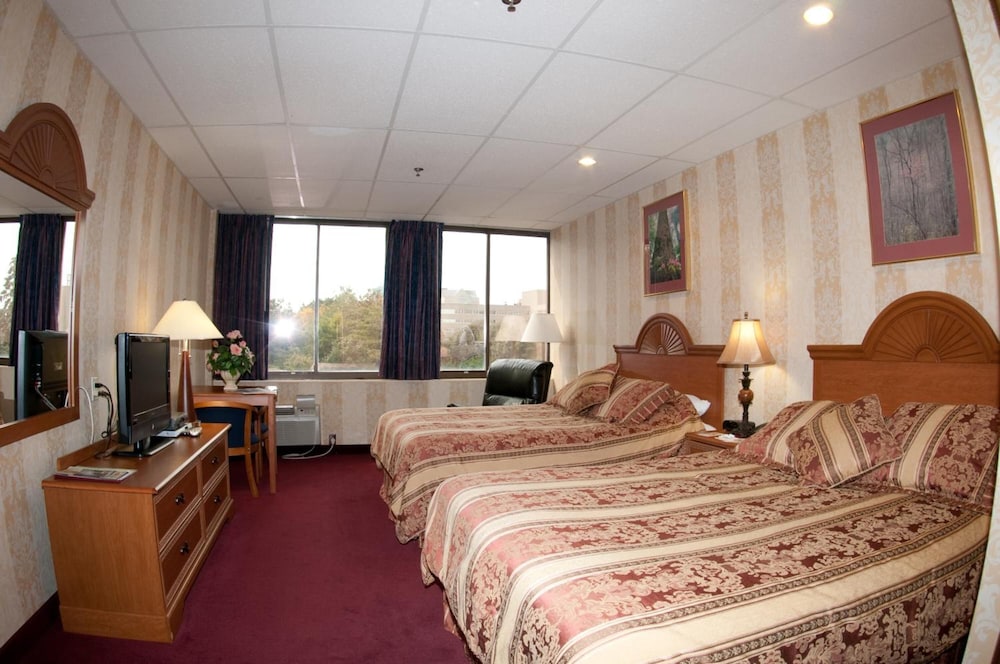 Amsterdam Hotel - photo 7