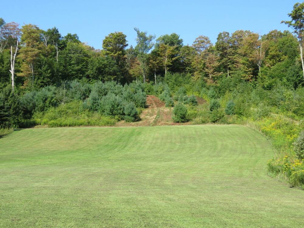 Tug Hill Resort - photo 49