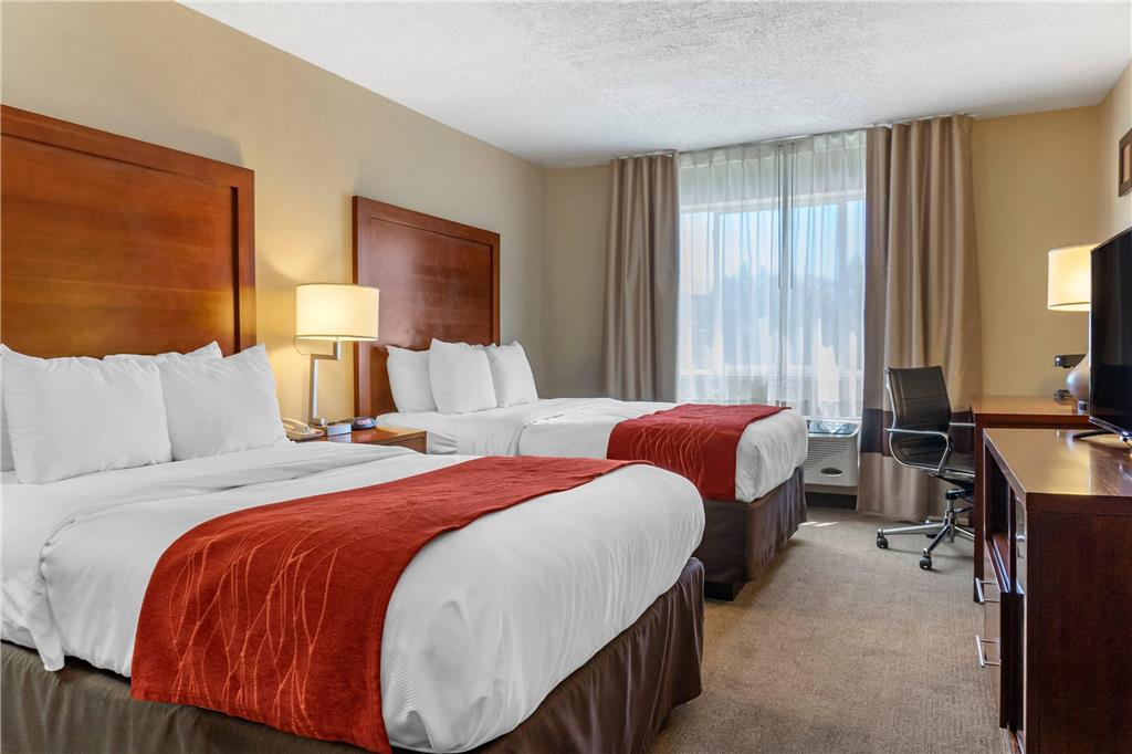 Comfort Inn Albuquerque Airport - photo 9