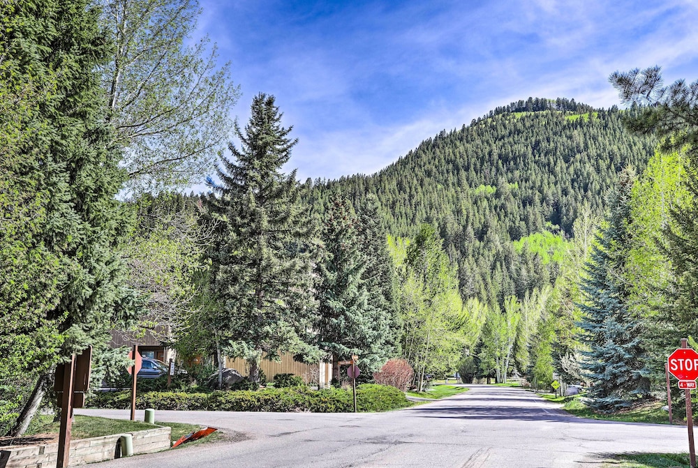 Modern Townhome about 4 Miles to Beaver Creek Resort - photo 29