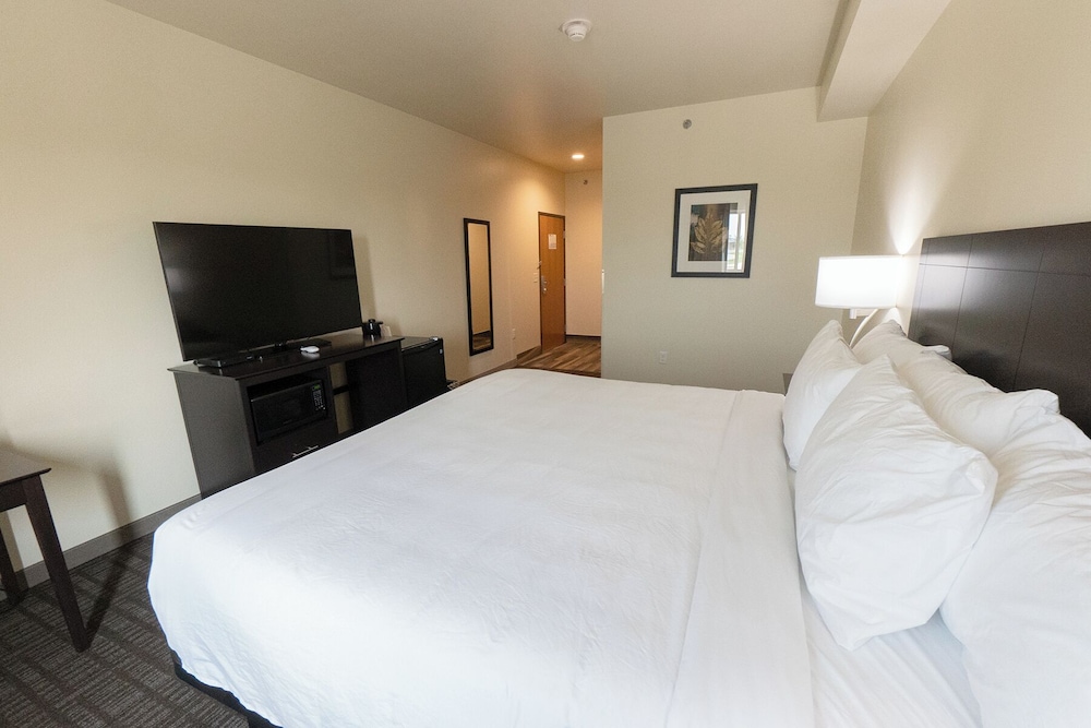 Cobblestone Inn & Suites Sheldon - photo 8