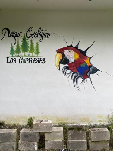 Parque Ecológico los Cipreses Volcán Pacaya in Unknown City, Guatemala