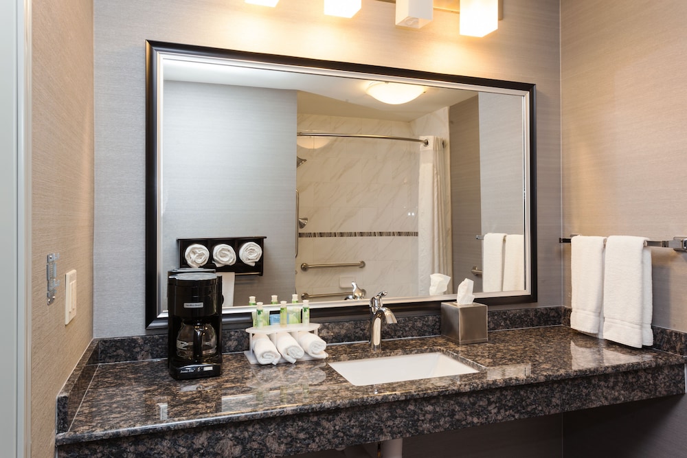 Holiday Inn Express Hotel & Suites Rapid City by IHG - photo 12