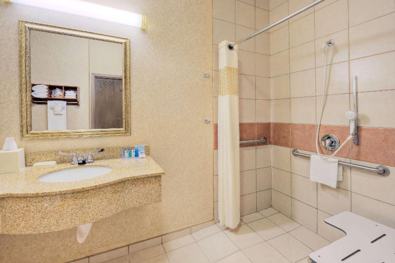 Hampton Inn & Suites Palmdale - photo 74