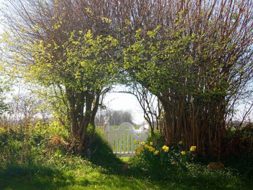 Angenehmes Ferienhaus fuer Familien in Damp, Germany