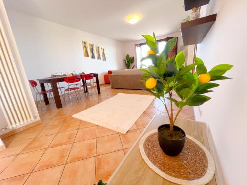 Appartamento Residenza Americhe Rif A789 — Cupra Marittima — photo 3