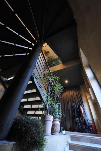 Guest Accommodation Zak — Novi Sad — photo 5