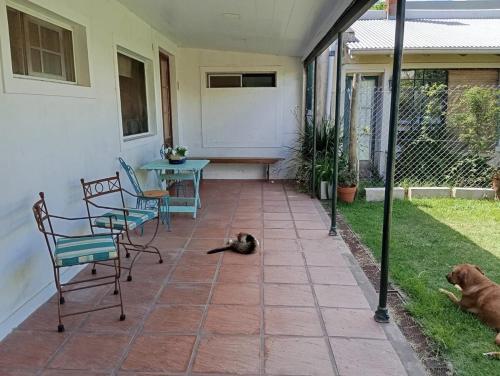 Socaire tu refugio en Chascomús — Chascomus — photo 3