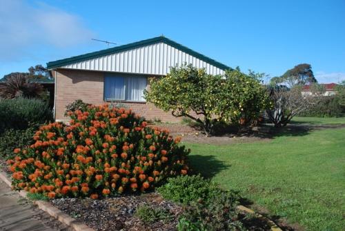 Lemontree Cottage — 4-Star Luxury Hotel in Kingscote, Australia