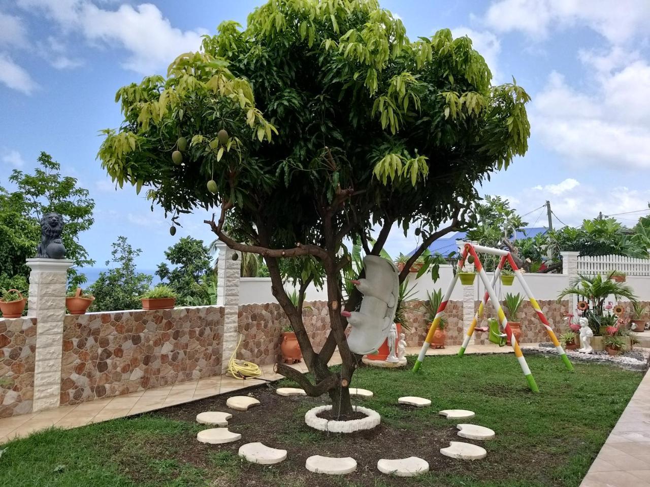 Kanalu — Bouillante — photo 2