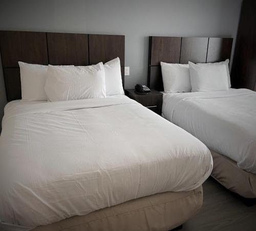 Hotel 21 Nyc - photo 3