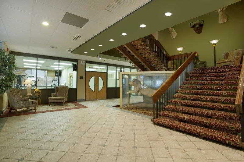Golden Lion Hotel - photo 10