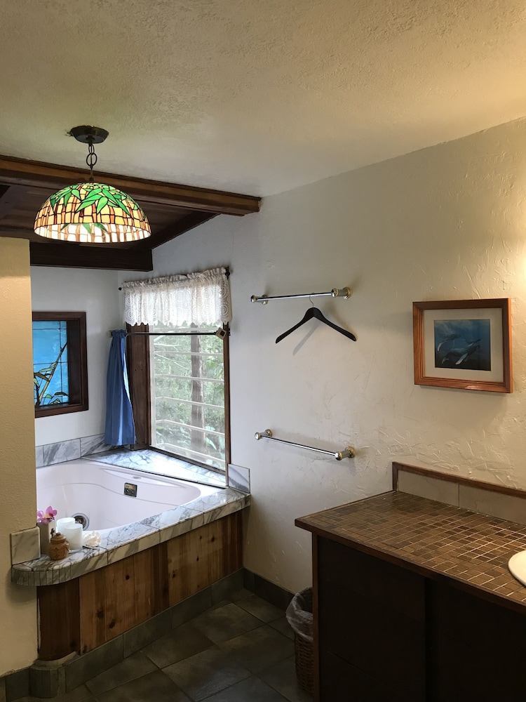 Hale Maluhia Country Inn - photo 31