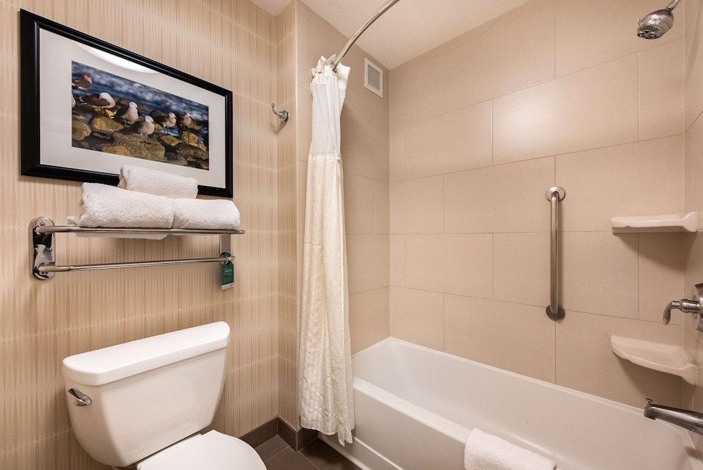 Homewood Suites by Hilton Oxnard Camarillo - photo 68