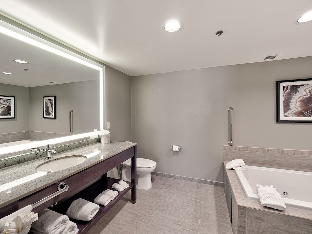 DoubleTree by Hilton Hotel Bloomington - photo 37