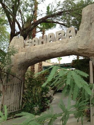 Sahara Hot Springs Family Park & Inn - featured photo