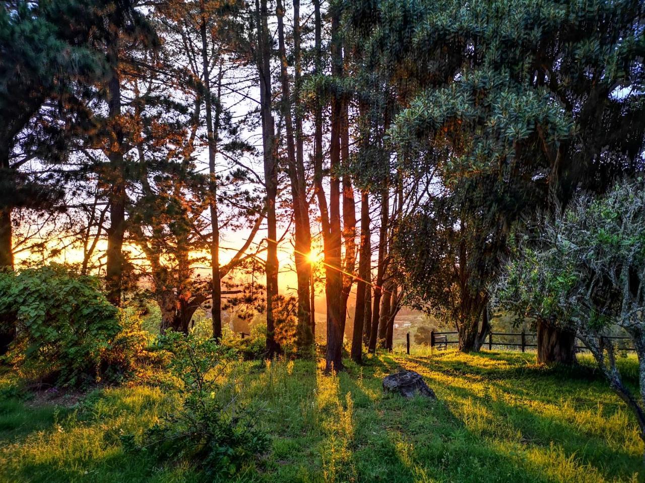 Fernhill Guest Farm in Knysna, South Africa