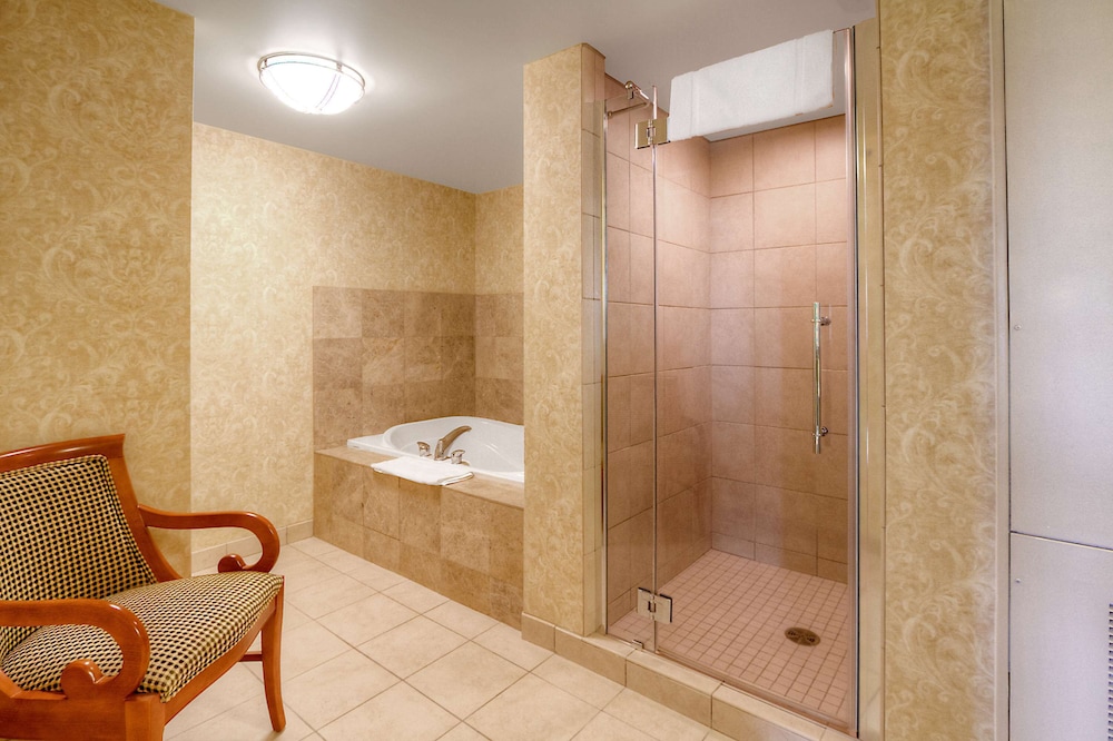 Hilton Garden Inn Great Falls - photo 42