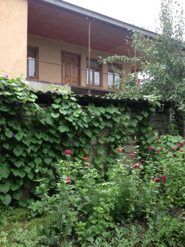 Guesthouse Kistauri