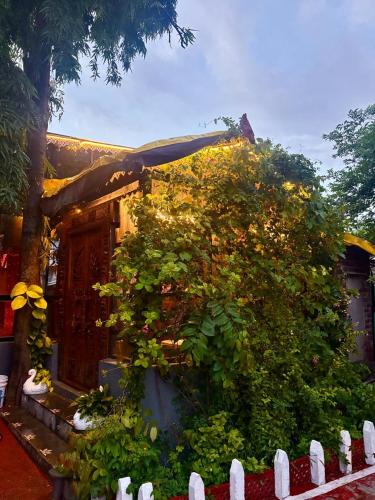 Ashoka - carbon neutral hotel in Unknown City