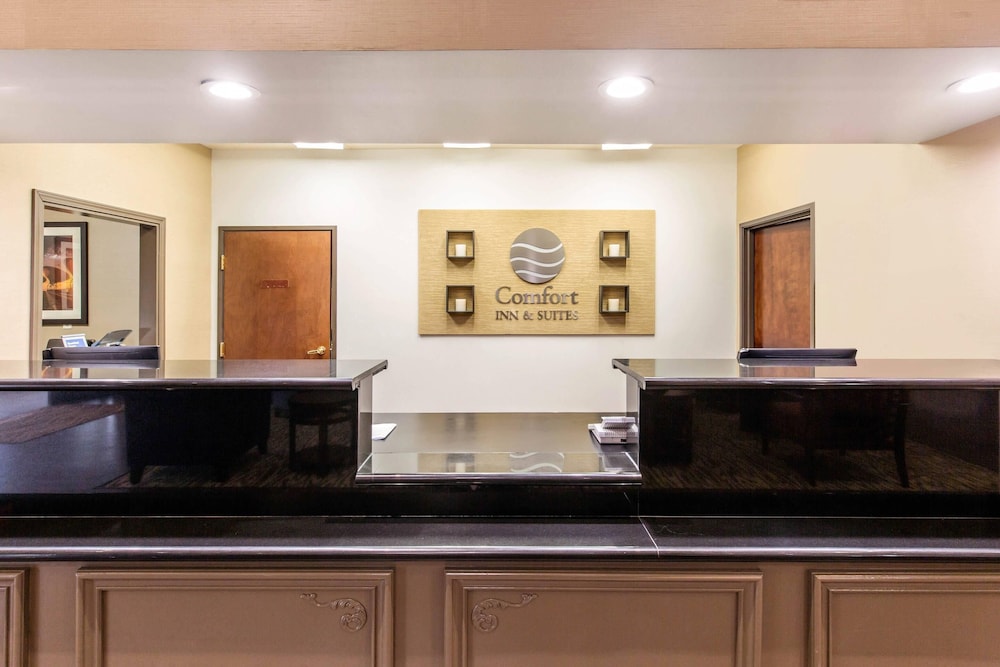 Comfort Inn & Suites IAH Bush Airport East - photo 4