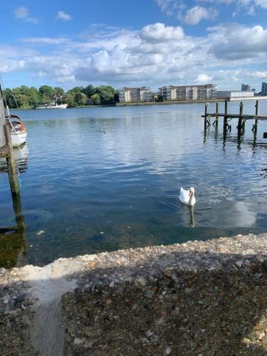 Apartment Stylish 2 bed Riverside House 2 Kingsize beds Free Parking — 4-Star Luxury Hotel in Southampton, United Kingdom