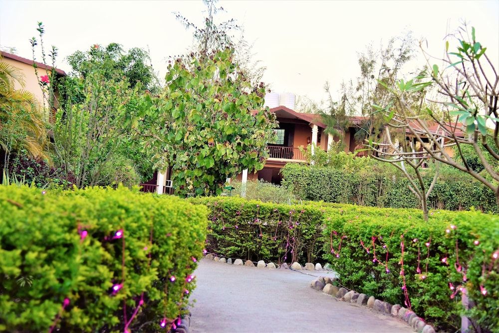 Cygnett Resort Alaya Jungle Safari — 4-Star Luxury Hotel in Ramnagar, India