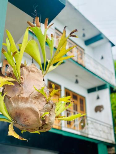 Hotel La Vista Sur in Haputale, Sri Lanka