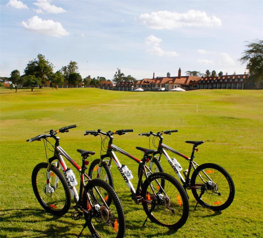 Windsor mauntain bike for hire sep