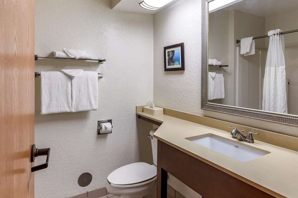 Comfort Inn Okemos East Lansing - photo 24